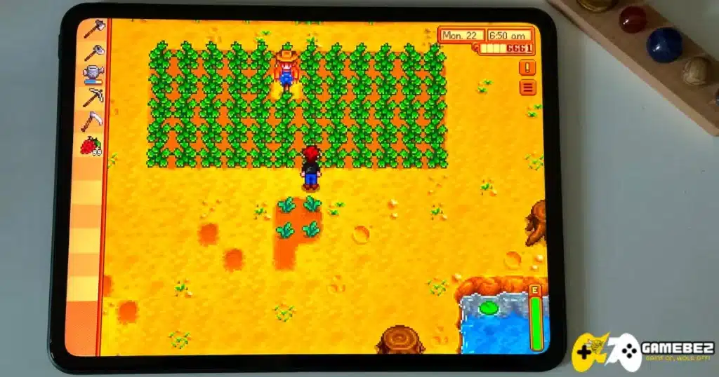 stardew valley 1.6 switch